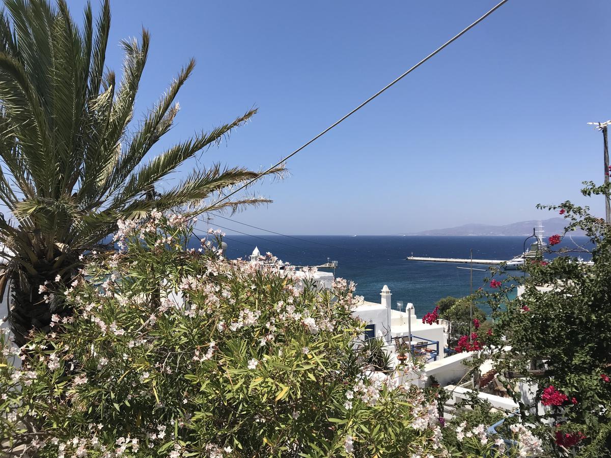 Studios & Suites Rania Mykonos Town Екстериор снимка